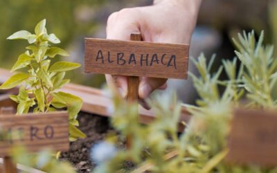 Cómo renovar tus espacios exteriores en esta primavera