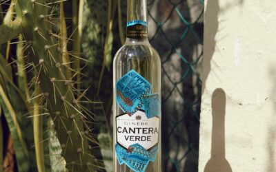 De Oaxaca para el mundo llega la ginebra «Cantera Verde»