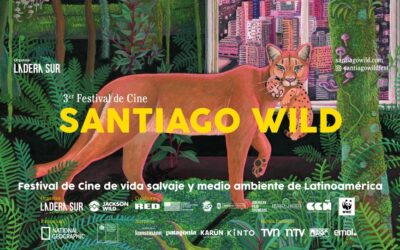 Dos mexicanos participan en el festival de documentales «Santiago Wild 2023»