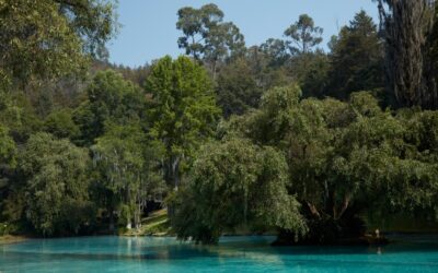 El manantial Santa María es una reserva natural