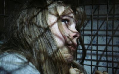 Hoy se estrena en la cartelera la película: «La maldición del bosque»