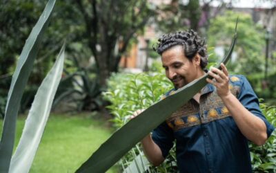 «La ruta de los insectos» con Enrique «Quique» Cervantes