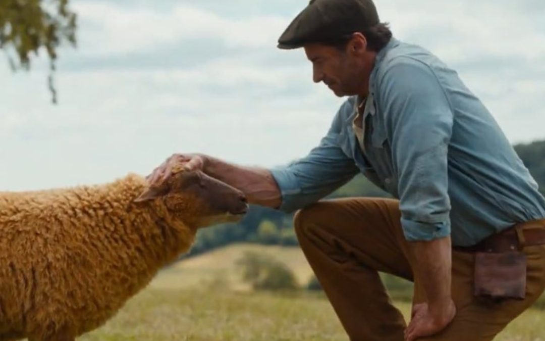 Llega el primer tráiler y póster de la película: «Las Ovejas Detectives»🐑🕵️‍♂️