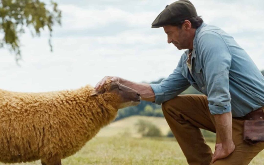 Hoy se estrena en cines la película «Las Ovejas Detectives» con Hugh Jackman