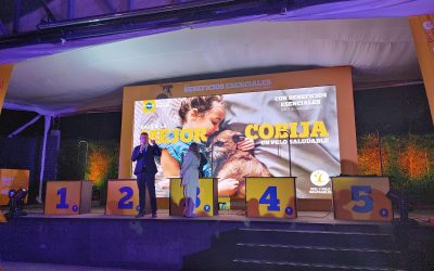 Así se vivió el «Festival Promesa Pedigree» con Carlos Rivera